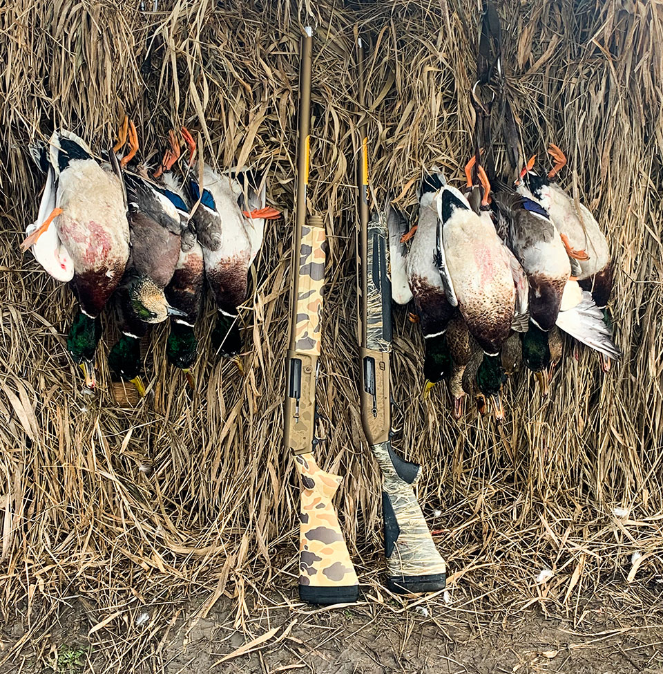 Hunting with Pitt Meadows Hunts